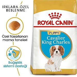 Royal Canin Cavalier King Charles Puppy yavru köpek maması 1,5 kg paketi - 7