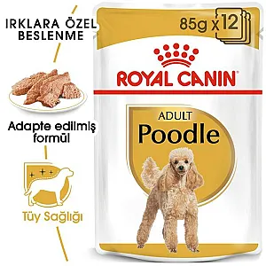 Royal Canin Poodle Adult yetişkin yaş köpek maması 85 g poşeti - 5