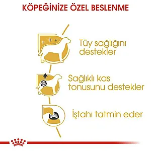 Royal Canin Poodle Adult yetişkin yaş köpek maması 85 g poşeti - 6