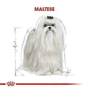 Royal Canin Maltese Adult yetişkin köpek maması 1,5 kg paketi - 2