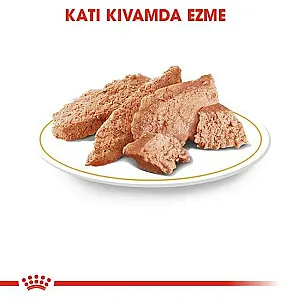 Royal Canin Yorkshire Terrier Adult yetişkin yaş köpek maması 85 g poşeti - 3