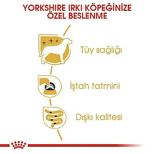 Royal Canin Yorkshire Terrier Adult yetişkin yaş köpek maması 85 g poşeti - 4