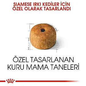 Royal Canin Siamese Adult Siyam kedisi yetişkin kuru kedi maması 2 kg paketi - 3