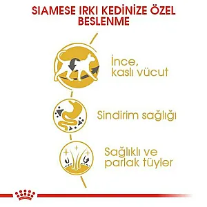 Royal Canin Siamese Adult Siyam kedisi yetişkin kuru kedi maması 2 kg paketi - 4