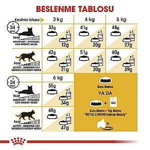 Royal Canin Siamese Adult Siyam kedisi yetişkin kuru kedi maması 2 kg paketi - 5