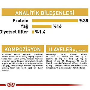 Royal Canin Siamese Adult Siyam kedisi yetişkin kuru kedi maması 2 kg paketi - 6