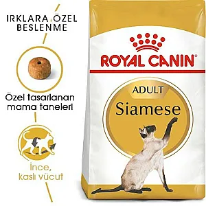 Royal Canin Siamese Adult Siyam kedisi yetişkin kuru kedi maması 2 kg paketi - 7