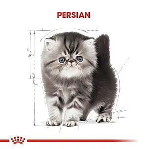 Royal Canin Persian Kitten İran kedisi yavru kuru kedi maması 2 kg paketi - 3