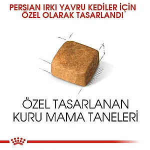 Royal Canin Persian Kitten İran kedisi yavru kuru kedi maması 2 kg paketi - 4