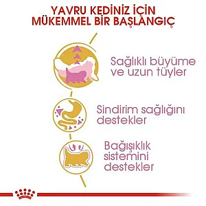 Royal Canin Persian Kitten İran kedisi yavru kuru kedi maması 2 kg paketi - 5