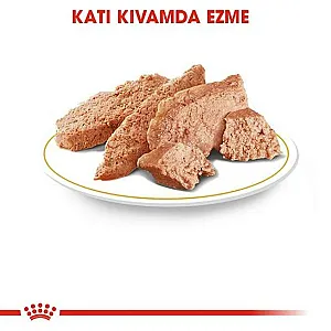 Royal Canin Persian Adult Loaf İran kedisi yetişkin yaş kedi maması 85 g poşeti - 3