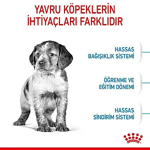 Royal Canin Medium Puppy orta ırk yavru köpek maması 15 kg paketi - 9