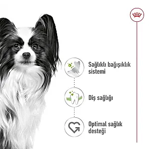 Royal Canin X-Small Adult çok küçük ırk yetişkin köpek maması 3 kg paketi - 3