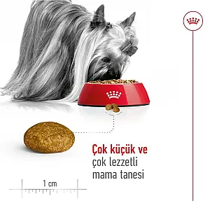 Royal Canin X-Small Adult çok küçük ırk yetişkin köpek maması 3 kg paketi - 5