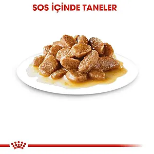 Royal Canin Mini Adult Gravy küçük ırk yetişkin yaş köpek maması 85 g poşeti - 2