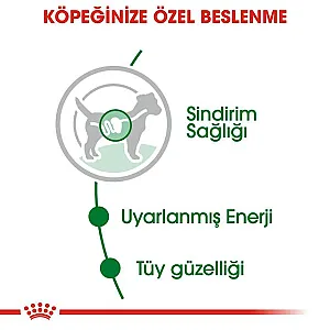 Royal Canin Mini Adult Gravy küçük ırk yetişkin yaş köpek maması 85 g poşeti - 4