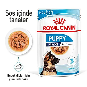 Royal Canin Maxi Puppy Gravy büyük ırk yavru yaş köpek maması 140 g poşeti - 2