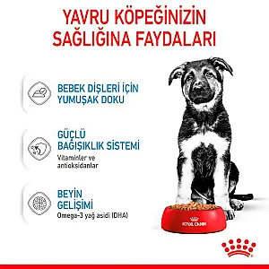 Royal Canin Maxi Puppy Gravy büyük ırk yavru yaş köpek maması 140 g poşeti - 5