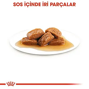 Royal Canin Maxi Adult Gravy büyük ırk yetişkin yaş köpek maması 140 g poşeti - 4