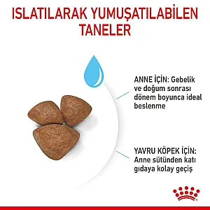 Royal Canin Mini Starter Mother & Babydog anne ve yavru köpek maması 4 kg paketi - 7