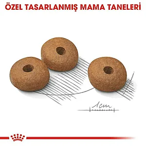 Royal Canin Mini Light Weight Care küçük ırk yetişkin köpek maması 3 kg paketi - 5