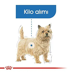 Royal Canin Mini Light Weight Care küçük ırk yetişkin köpek maması 3 kg paketi - 6
