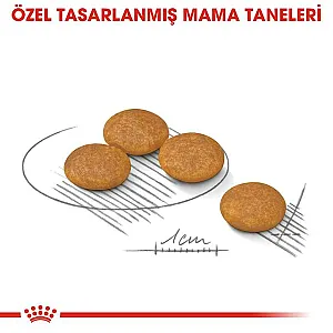 Royal Canin Mini Dermacomfort küçük ırk yetişkin köpek maması 3 kg paketi - 3