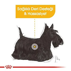 Royal Canin Mini Dermacomfort küçük ırk yetişkin köpek maması 3 kg paketi - 5