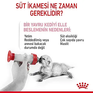 Royal Canin Babydog Milk yavru köpek süt tozu 400 g kutusu - 3