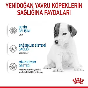 Royal Canin Babydog Milk yavru köpek süt tozu 400 g kutusu - 4
