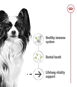 Royal Canin X-Small Ageing 12+ çok küçük ırk yaşlı köpek maması 1,5 kg paketi - 3