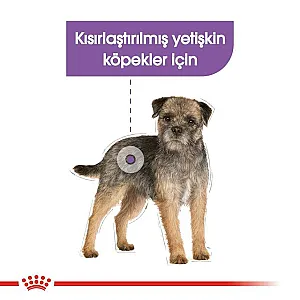Royal Canin Sterilised Loaf kısırlaştırılmış yetişkin yaş köpek maması 85 g poşeti - 5