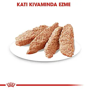 Royal Canin Sterilised Loaf kısırlaştırılmış yetişkin yaş köpek maması 85 g poşeti - 6