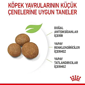 Royal Canin Maxi Puppy büyük ırk yavru köpek maması 15 kg paketi - 6