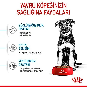 Royal Canin Maxi Puppy büyük ırk yavru köpek maması 15 kg paketi - 8