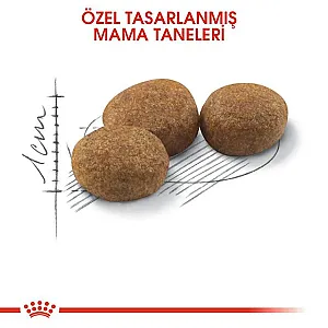 Royal Canin Sterilised 37 kısırlaştırılmış yetişkin kuru kedi maması 2 kg paketi - 7