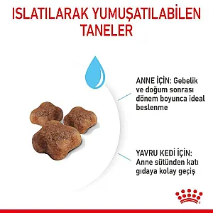 Royal Canin Mother & Babycat anne ve yavru kedi kuru maması 4 kg paketi - 7