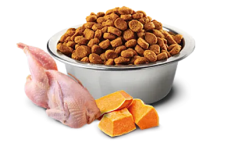 N&D Pumpkin Bıldırcın Etli Bal Kabaklı ve Narlı Tahılsız Yetişkin Kedi Maması - 2