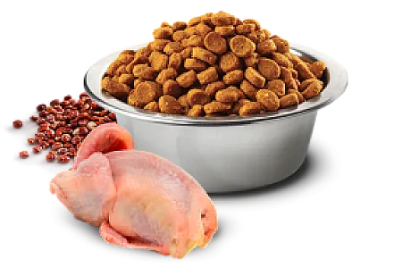 N&D Quinoa Skin & Coat Bıldırcın Etli Hindistan Cevizli Tahılsız Yetişkin Kedi Maması - 2