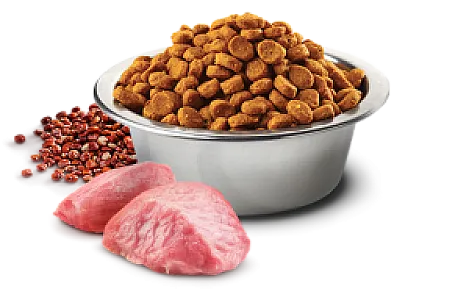 N&D Quinoa Digestion Kuzu Etli Rezeneli Tahılsız Yetişkin Kedi Maması - 2