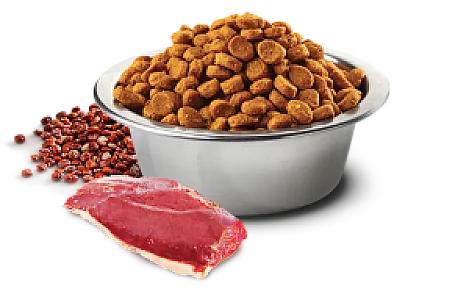 N&D Quinoa Ördek Etli Brokolili ve Kuşkonmazlı Tahılsız Kısırlaştırılmış Kedi Maması - 2