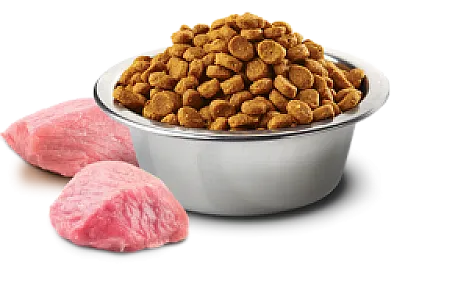N&D Prime Yaban Domuzu Etli ve Elmalı Tahılsız Orta ve Büyük Irk Yetişkin Köpek Maması - 2