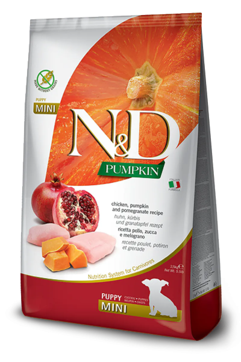N&D Pumpkin Tavuklu Bal Kabaklı ve Narlı Tahılsız Küçük Irk Yavru Köpek Maması