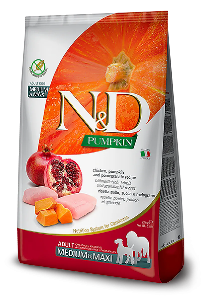 N&D Pumpkin Tavuklu Bal Kabaklı ve Narlı Tahılsız Orta ve Büyük Irk Yetişkin Köpek Maması