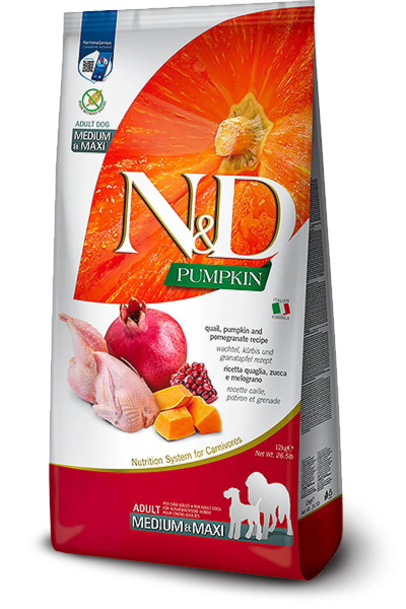 N&D Pumpkin Bıldırcın Etli Bal Kabaklı ve Narlı Tahılsız Orta ve Büyük Irk Yetişkin Köpek Maması 12 kg