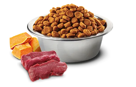 N&D Pumpkin Geyik Etli Bal Kabaklı ve Elmalı Tahılsız Orta ve Büyük Irk Yetişkin Köpek Maması 12 kg - 2