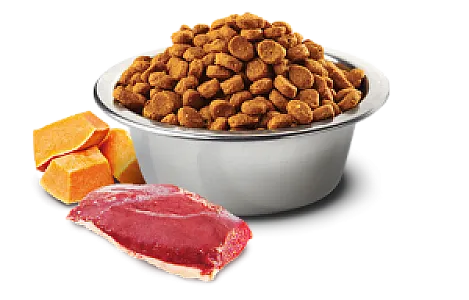 N&D Pumpkin Ördek Etli Bal Kabaklı ve Kavunlu Tahılsız Küçük Irk Yetişkin Köpek Maması 2 kg - 2