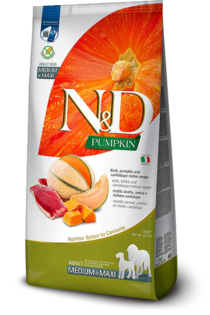N&D Pumpkin Ördek Etli Bal Kabaklı ve Kavunlu Tahılsız Orta ve Büyük Irk Yetişkin Köpek Maması 12 kg