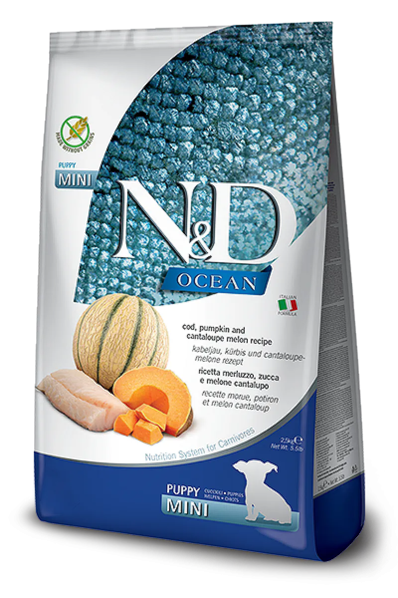 N&D Ocean Morina Balıklı Bal Kabaklı ve Kavunlu Tahılsız Küçük Irk Yavru Köpek Maması