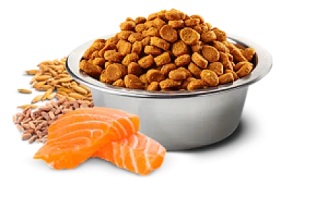 N&D Tropical Selection Somonlu Tropikal Meyveli Ata Tahıllı Orta ve Büyük Irk Yetişkin Köpek Maması - 3